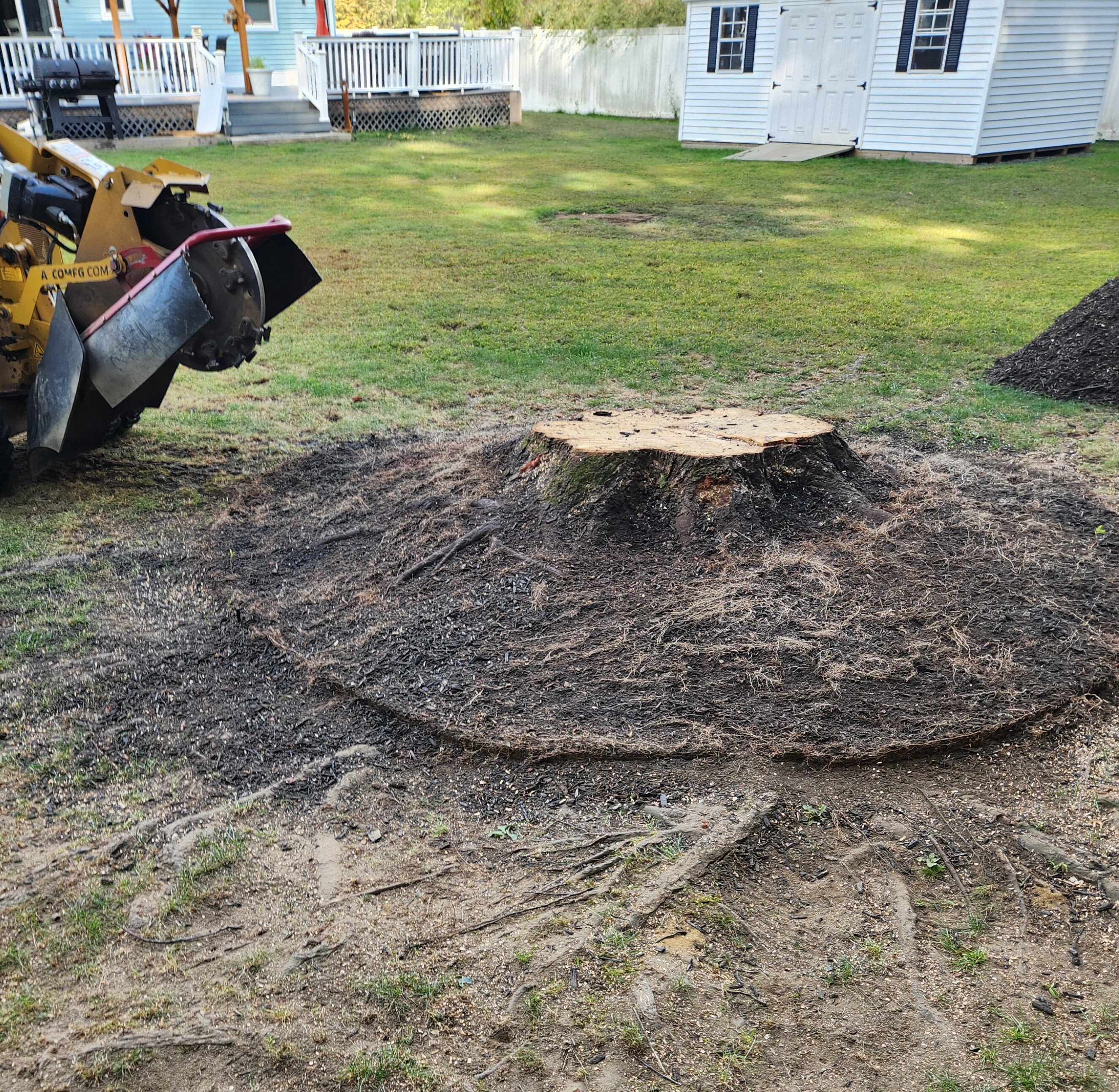 Left image - Tree stump removal in yard