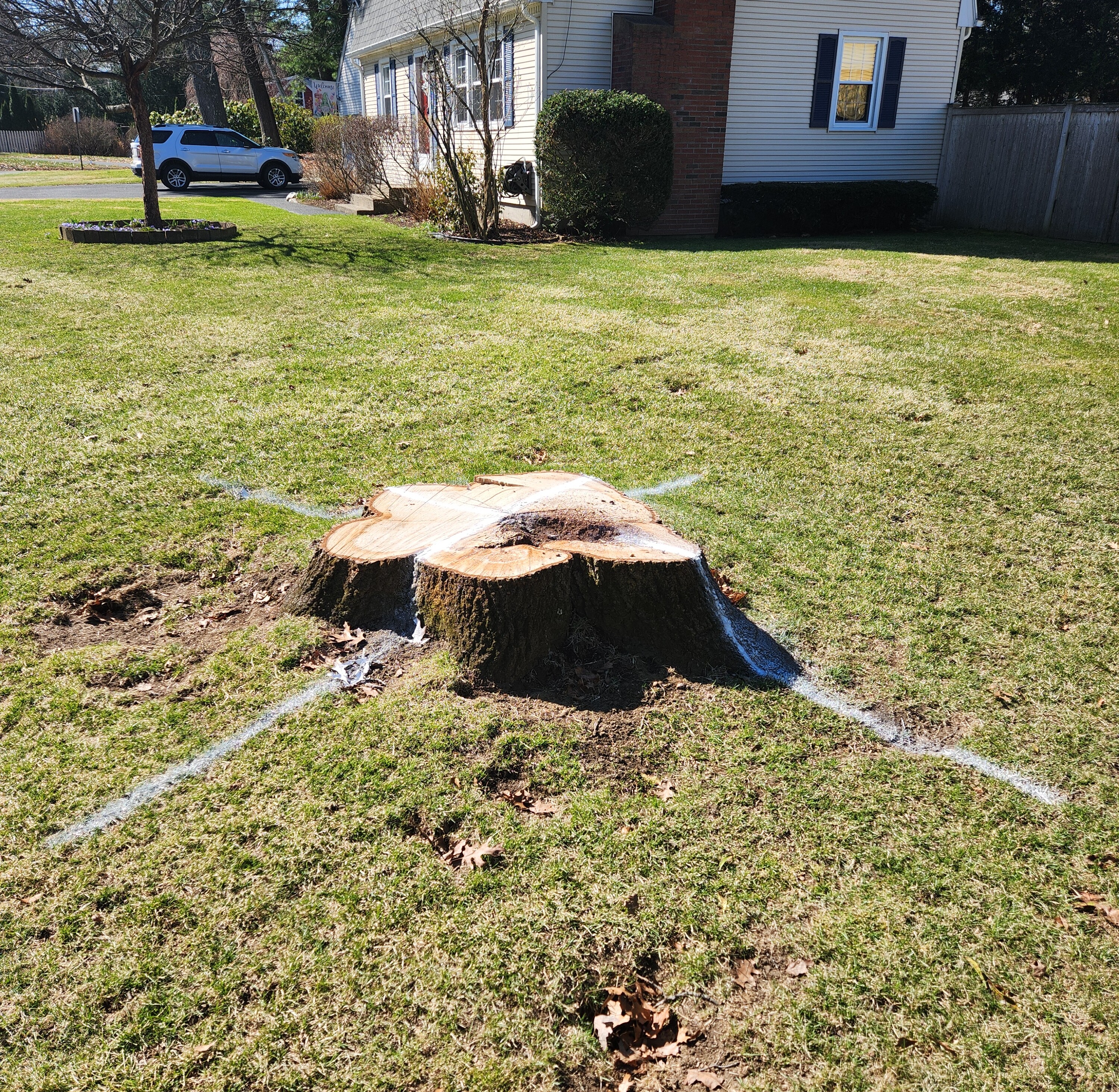 Left image - Tree stump removal in yard