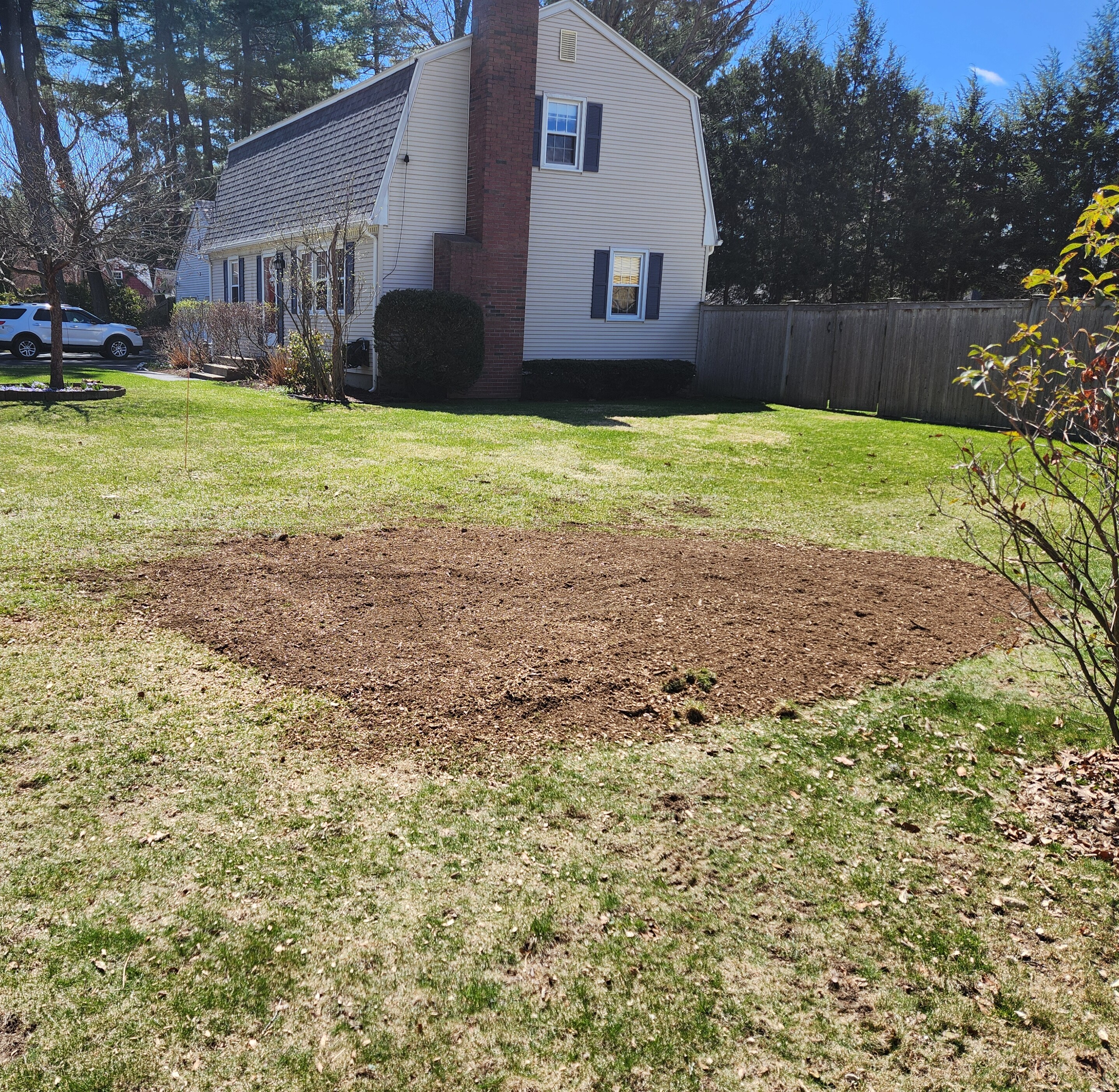 Right image - Tree stump removal in yard