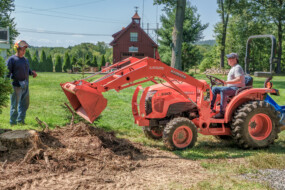 Stump grinding in CT and MA