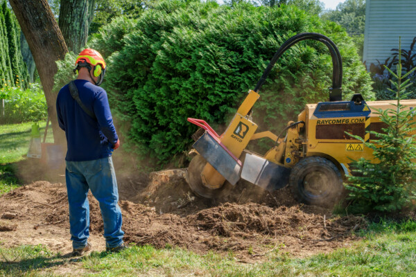 Stump Grinding in Western MA
